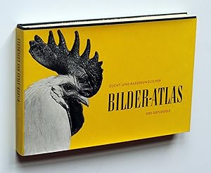 Zucht- und rassekundlicher Bilderatlas des Geflügels. Nach Aquarellen von C. Witzmann und E. Zurth.