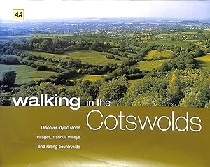 Seller image for AA Walking in the Cotswolds (AA Walking in Series) for sale by M Godding Books Ltd