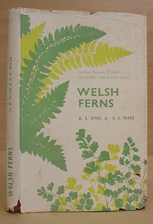 Welsh Ferns - A Descriptive Handbook