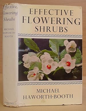 Effective Flowering Shrubs