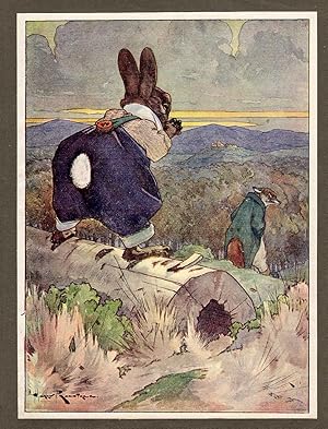 Uncle Remus stories,1915 Childrens's Illustration