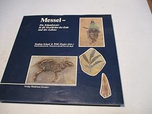 Bild des Verk�ufers f�r Messel Ein Schaufenster in die Geschichte der Erde und des Lebens. zum Verkauf von Ottmar M�ller