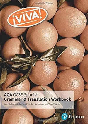 Bild des Verkufers fr Viva! AQA GCSE Spanish Grammar and Translation Workbook zum Verkauf von WeBuyBooks