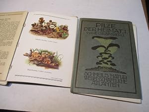 Seller image for Pilze derHeimat. for sale by Ottmar M�ller
