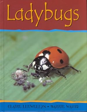 Imagen del vendedor de Ladybugs a la venta por GreatBookPrices