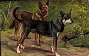 Künstler Ansichtskarte / Postkarte Zwei Schäferhunde, Hundeportrait