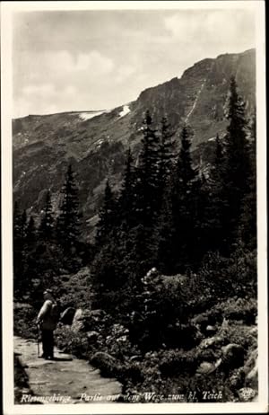 Ansichtskarte / Postkarte Riesengebirge, Partie auf dem Wege zum kleinen Teich