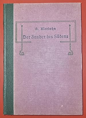 Der Zauber des Südens - Historischer Roman