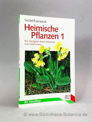 Bild des Verkufers fr Heimische Pflanzen 1. Die hufigsten Arten erkennen und bestimmen. zum Verkauf von Bibliotheca Botanica