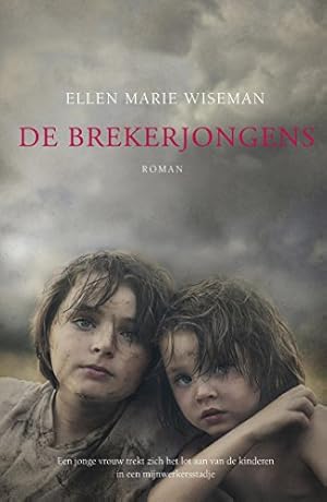 Seller image for De brekerjongens: roman for sale by WeBuyBooks