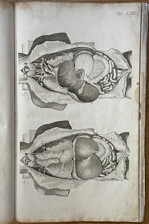 Bild des Verkufers fr Anatomische Tafeln. Tafeln LII bis XC: Splanchnologie. zum Verkauf von Antiquariat am St. Vith