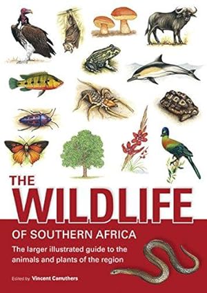 Imagen del vendedor de The Wildlife of Southern Africa: The Larger Illustrated Guide to the Animals and Plants of the Region a la venta por WeBuyBooks