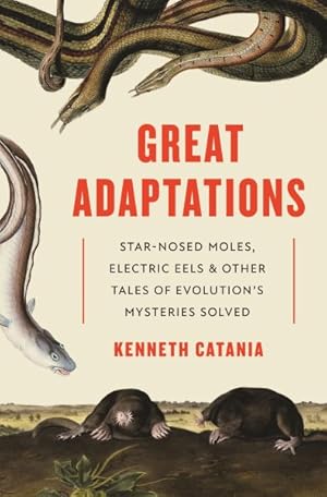 Seller image for Great Adaptations : Star-nosed Moles, Electric Eels, and Other Tales of Evolution?s Mysteries Solved for sale by GreatBookPrices