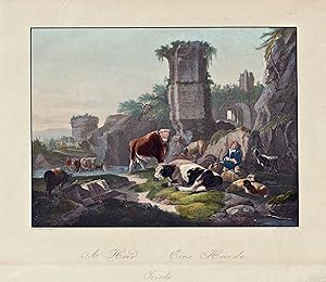 Bild des Verk�ufers f�r "A Herd / Eine Heerde" - cattle cow K�he cows Kuh zum Verkauf von Antiquariat Steffen V�lkel GmbH