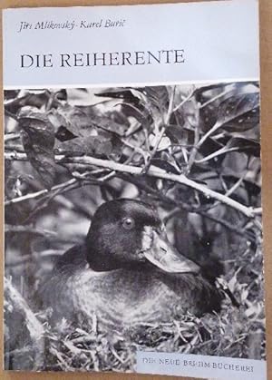 Bild des Verk�ufers f�r Die Reiherente. Aythhia fuligula - (Die Neue Brehm-B�cherei 556). zum Verkauf von Buchhandlung Loken-Books