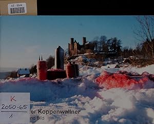 Immagine del venditore per Plotter Koppenwallner - Burg und Bild. 22. September-10. November 2002 venduto da Antiquariat Bookfarm