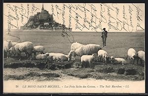 Carte postale Le Mont-St-Michel, The Salt Marshes