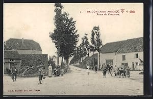 Carte postale Bricon, Route de Chaumont