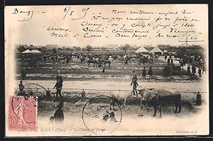 Carte postale Baugy, Le Champ de Foire