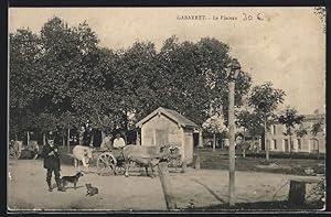 Carte postale Gabarret, Le Placeau