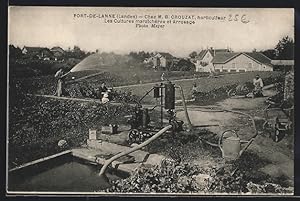 Carte postale Port-de-Lanne, Les Cultures maraichères et Arrosage, M. B. Crouzat, horticulteur