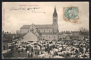 Carte postale Sancoins, Champ de Foire