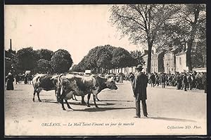 Carte postale Orléans, Le Mail Saint-Vincent un jour de marché