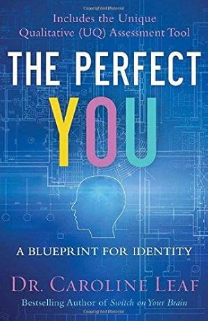 Imagen del vendedor de The Perfect You: A Blueprint for Identity a la venta por WeBuyBooks