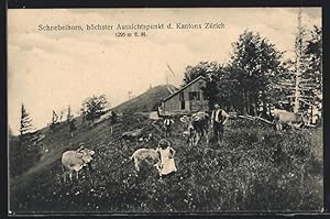 Ansichtskarte Schnebelhorn, Bauer und grasende Kühe bei einem Gehöft