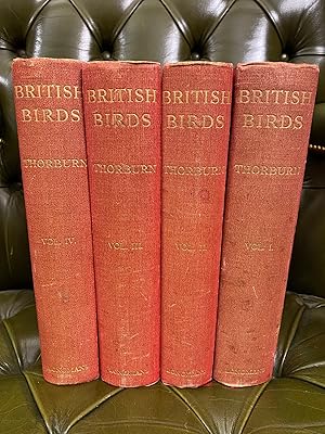 British Birds [Limited Edition]