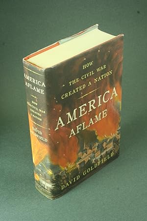 Bild des Verkufers fr America aflame: how the Civil War created a nation. zum Verkauf von Steven Wolfe Books