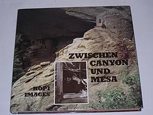 Seller image for Zwischen Canyon und Mesa. for sale by Der-Philo-soph