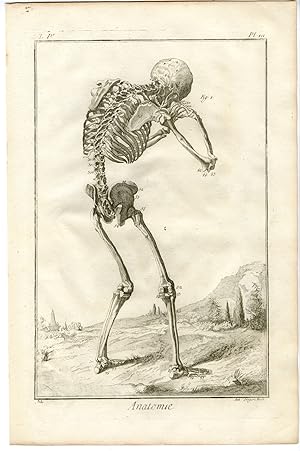 Antique Print-HUMAN ANATOMY-SKELETON-BONES-SKULL-Gregori-Diderot-1779