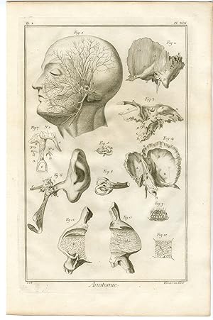 Antique Print-HUMAN ANATOMY-AUDITAURY SYSTEM-EAR-PL 13-Fambrini-Diderot-1779