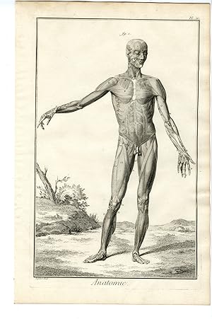 Bild des Verkufers fr Antique Print-HUMAN ANATOMY-SKELETON-MUSCLES-Benard-Diderot-1779 zum Verkauf von Pictura Prints, Art & Books