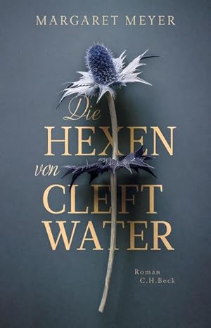 Imagen del vendedor de Die Hexen von Cleftwater a la venta por BuchWeltWeit Ludwig Meier e.K.