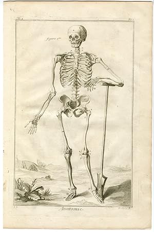 Antique Print-HUMAN ANATOMY-SKELETON-BONES-SKULL-SHOVEL-Fambrini-Diderot-1779