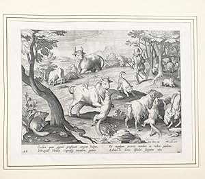 Seller image for Corsica quas gignit praestanti corpore Vulpes. for sale by Treptower Buecherkabinett Inh. Schultz Volha