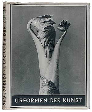 Urformen der Kunst. Photographische Pflanzenbilder. Herausgegeben mit einer Einleitung von Karl N...