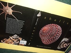 Seller image for Shells by Paul Starosta (The Rita and Jacques Senders Collection )( English Language Edition of Conchiglie )(contents: From Nature to Architecture [preface]; A World of Curiosities; The Art of Sea Shells; Classifications; Index )( 300 Photographs ) for sale by Leonard Shoup