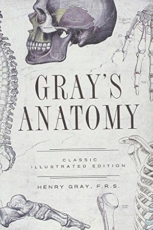 Imagen del vendedor de Gray's Anatomy: Classic Illustrated Edition (Fall River Classics) a la venta por WeBuyBooks