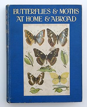 BUTTERFLIES AND MOTHS AT HOME AND ABROAD