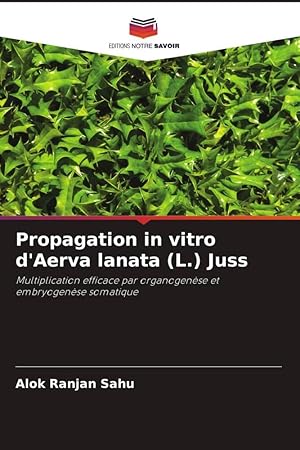 Bild des Verkufers fr Propagation in vitro d Aerva lanata (L.) Juss zum Verkauf von moluna