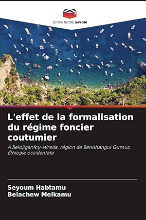 Imagen del vendedor de L effet de la formalisation du rgime foncier coutumier a la venta por moluna