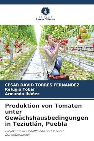 Seller image for Produktion von Tomaten unter Gewaechshausbedingungen in Teziutln, Puebla for sale by moluna