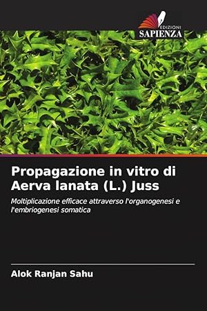 Bild des Verkufers fr Propagazione in vitro di Aerva lanata (L.) Juss zum Verkauf von moluna