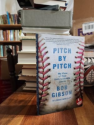 Pitch by Pitch: My View of One Unforgettable Game