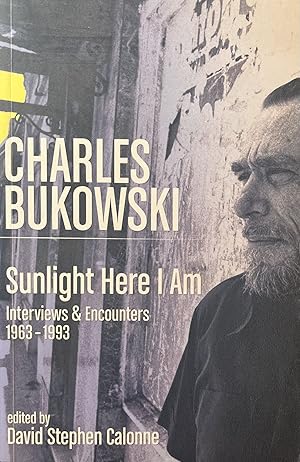 Bild des Verkufers fr Sunlight Here I Am: Interviews and Encounters, 1963-1993 zum Verkauf von 32.1  Rare Books + Ephemera, IOBA, ESA