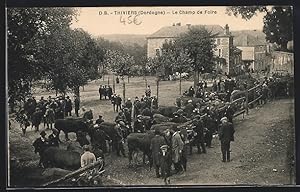 Carte postale Thiviers, Le Champ de Foire