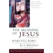 Seller image for The Meaning of Jesus for sale by eCampus